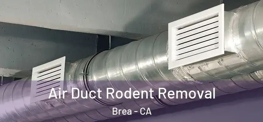  Air Duct Rodent Removal Brea - CA
