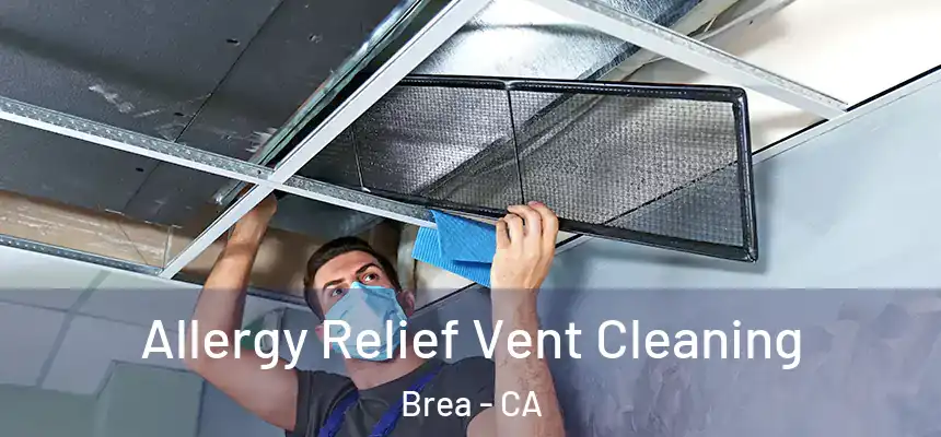 Allergy Relief Vent Cleaning Brea - CA