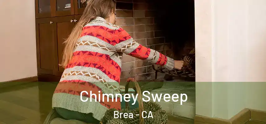 Chimney Sweep Brea - CA
