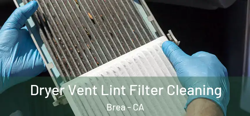  Dryer Vent Lint Filter Cleaning Brea - CA