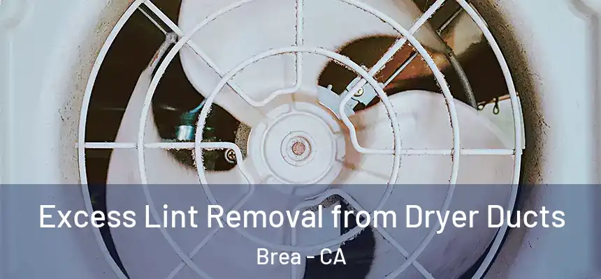  Excess Lint Removal from Dryer Ducts Brea - CA