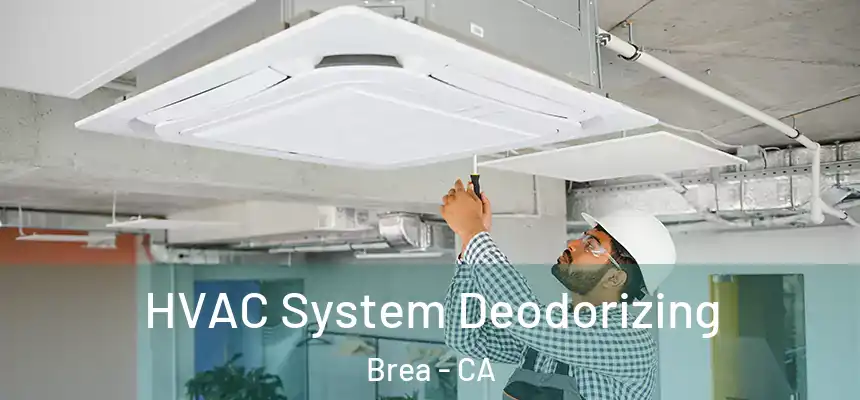 HVAC System Deodorizing Brea - CA