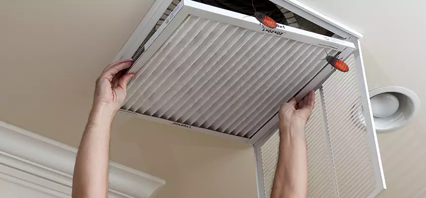 Preventive Cockroach-Proofing for Ducts in Brea