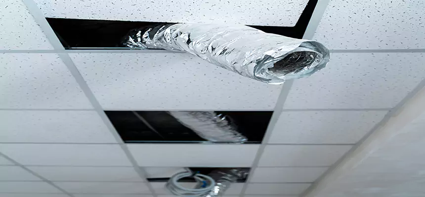 Affordable HVAC Sanitizing After Pest Removal in Brea