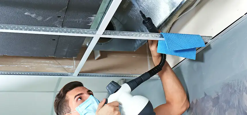 Our Air Duct Rodent Removal Services in Brea, CA