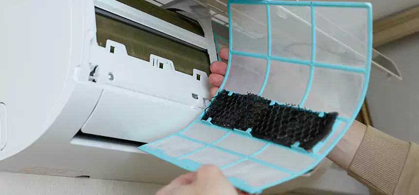 Gentle Ductwork Odor-Control Pet Dander Duct Cleaning in Brea, CA