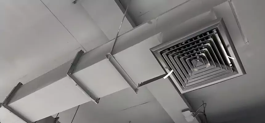 Our Rodent Droppings In Vents Services in Brea, CA