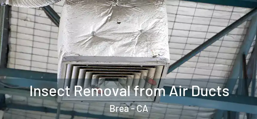 Insect Removal from Air Ducts Brea - CA