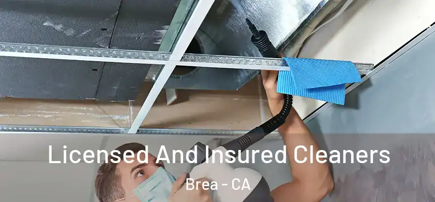  Licensed And Insured Cleaners Brea - CA