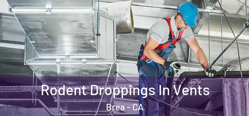  Rodent Droppings In Vents Brea - CA