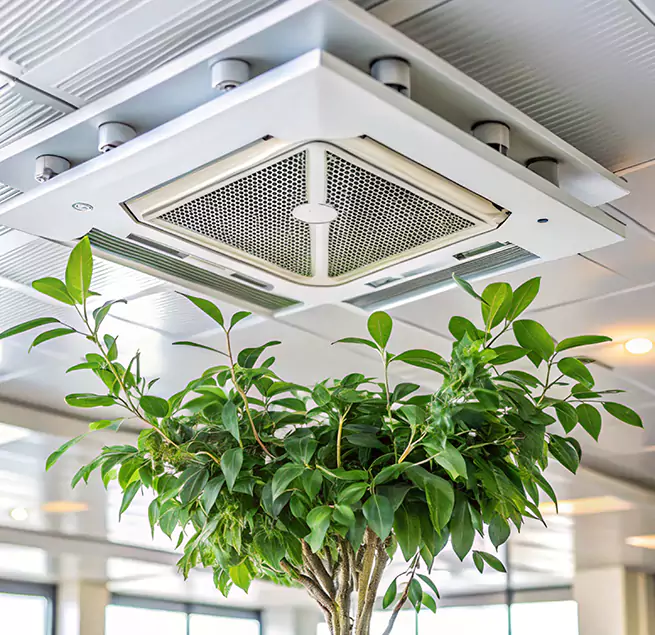 Why Homeowners & Businesses Trust Us in Brea, CA?