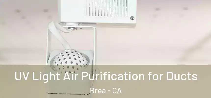  UV Light Air Purification for Ducts Brea - CA